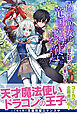 偽りの聖女は竜国の魔法使いになりました【電子版特典付】
